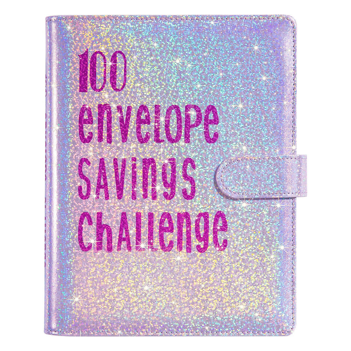The 100 Day Money Challenge Planner