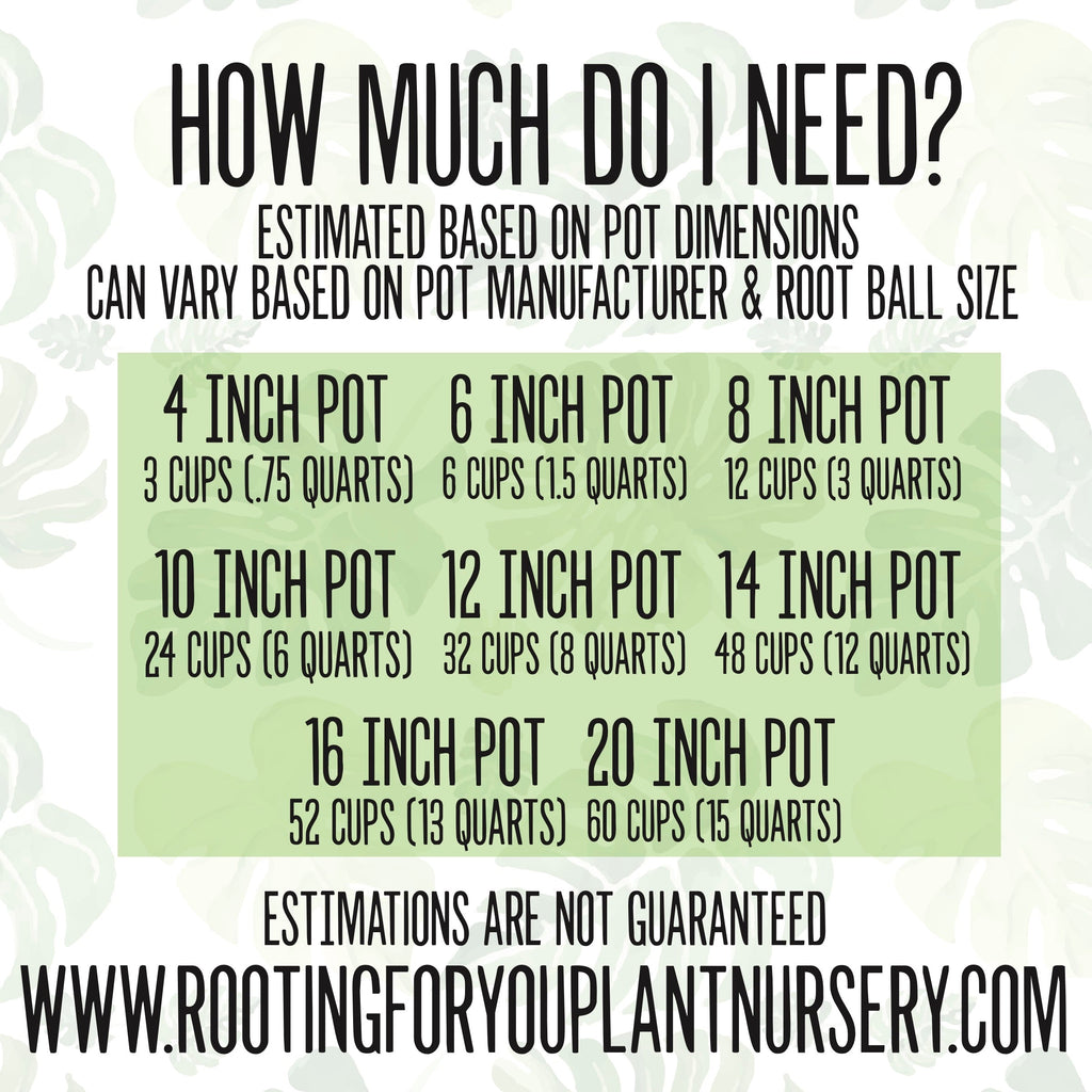 Money Tree Potting Mix