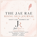 Cover of The Jae Rae Rising Sign Journal, showing a zodiac wheel with all twelve signs, constellations and a bird in blush and rose gold, dated August 12 2026 to December 31 2027