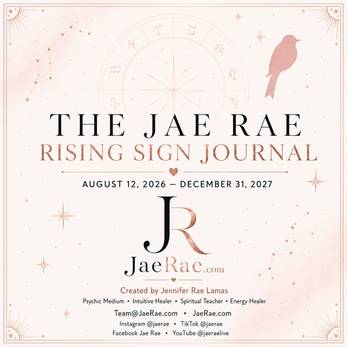Cover of The Jae Rae Rising Sign Journal, showing a zodiac wheel with all twelve signs, constellations and a bird in blush and rose gold, dated August 12 2026 to December 31 2027