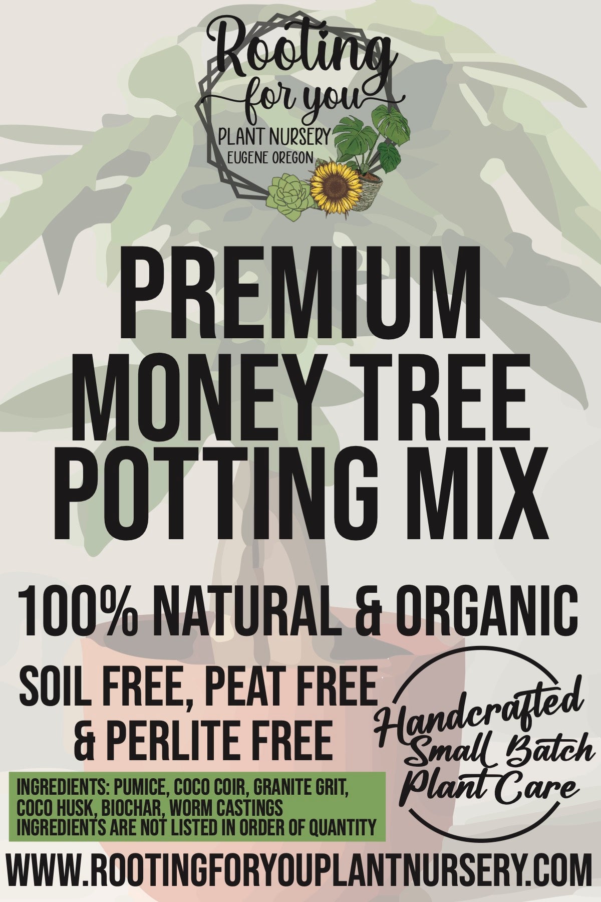 Money Tree Potting Mix