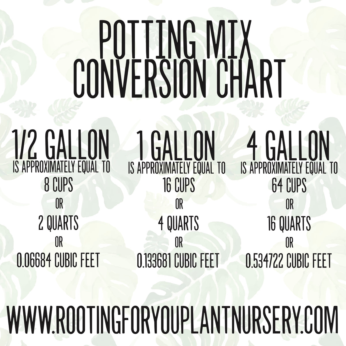 Money Tree Potting Mix