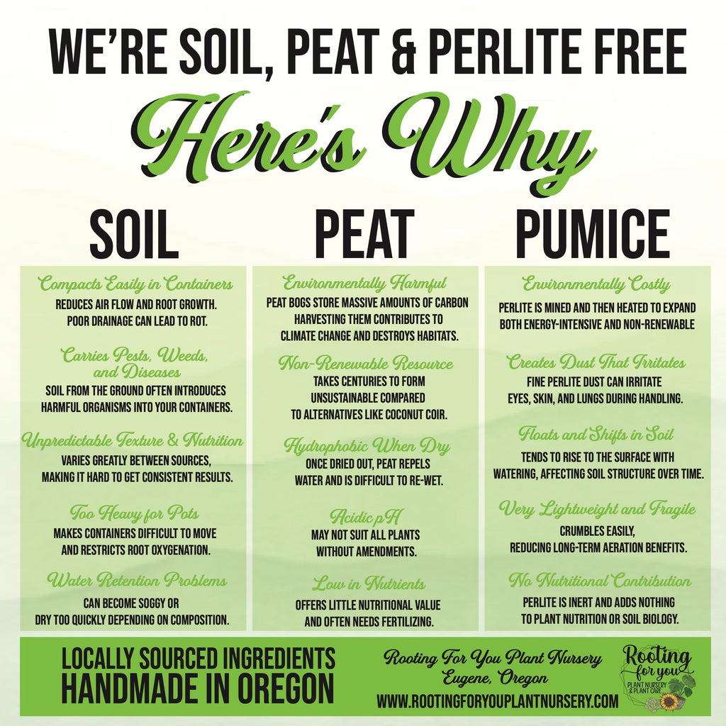 Money Tree Potting Mix